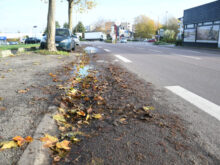 La piste cyclable de l'avenue des alliés impraticable à cause des feuilles mortes et des flaques d'eau
