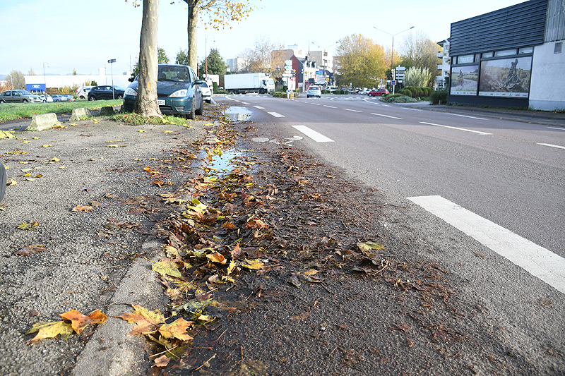 La piste cyclable de l'avenue des alliés impraticable à cause des feuilles mortes et des flaques d'eau