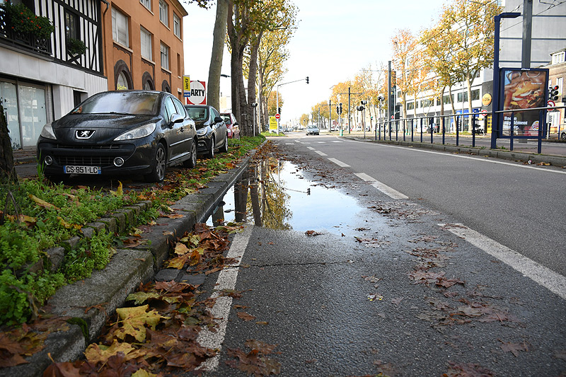 Piste cyclable avenue de Caen à la hauteur du N°43 impraticable à cause de flaques d'eau et de feuilles mortes depuis une semaine